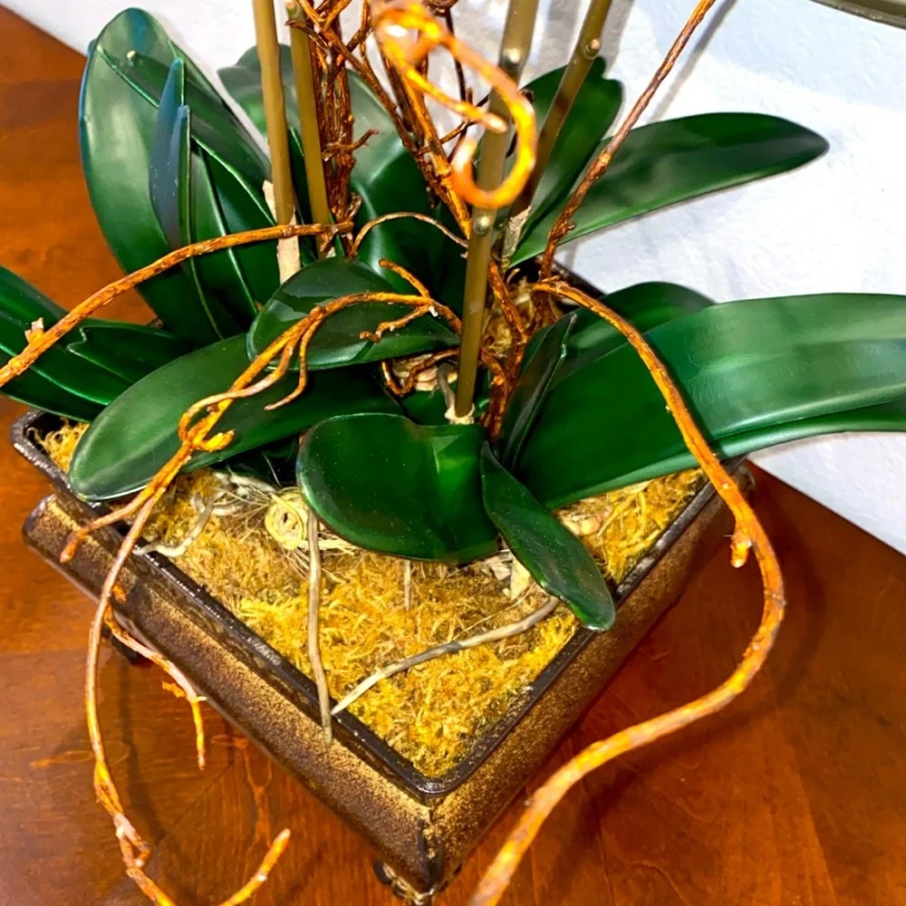 Winward‎ Home Orchid Arrangement in Vase